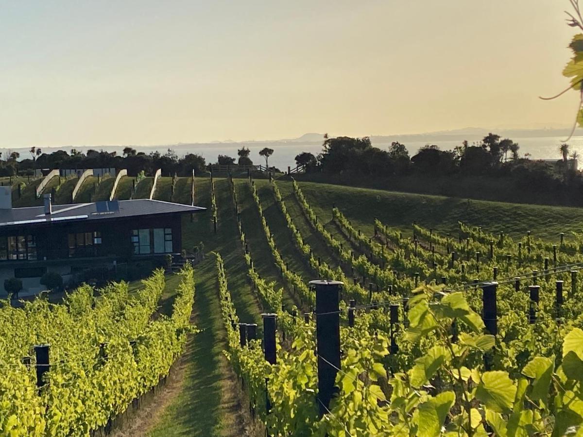 La Bodega Waiheke Island 호텔 Surfdale 외부 사진