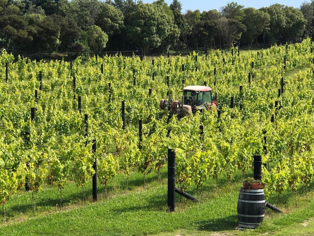 La Bodega Waiheke Island 호텔 Surfdale 외부 사진