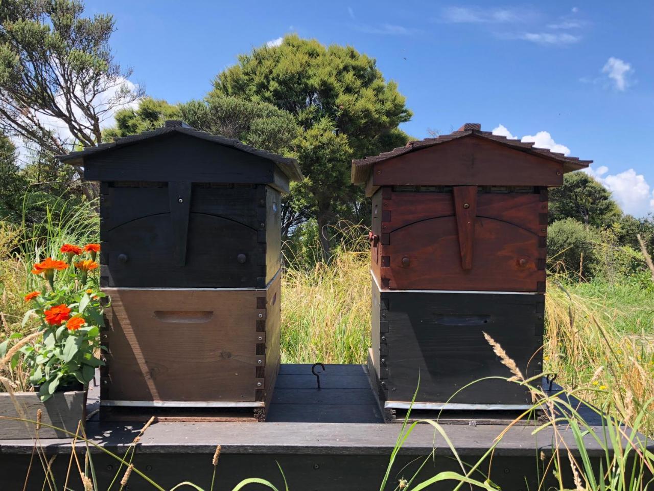 La Bodega Waiheke Island 호텔 Surfdale 외부 사진